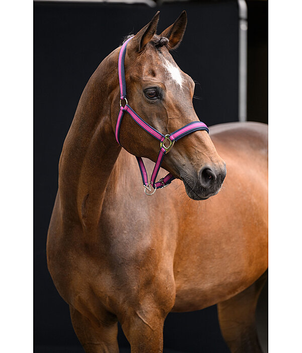 Capezza Swiss Design II