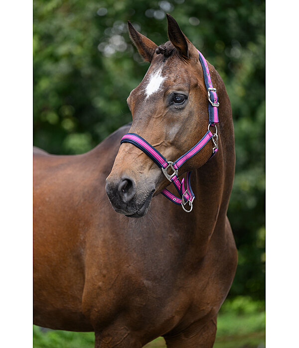 Capezza Swiss Design II