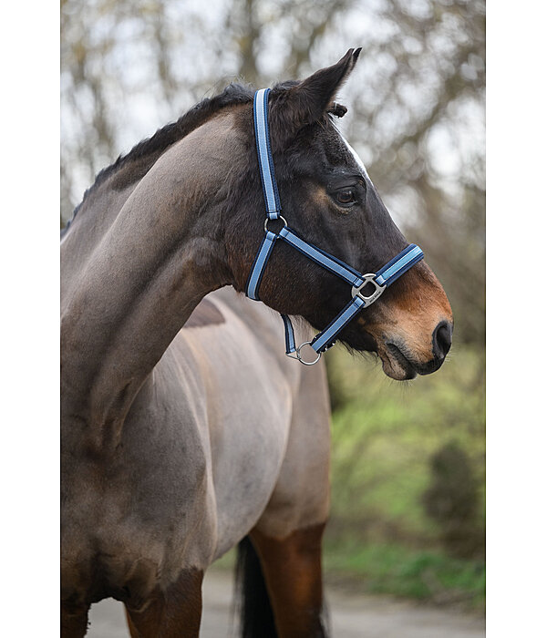 Capezza Essential II