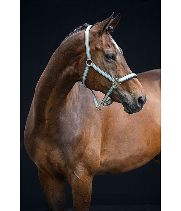 Capezza Essential II