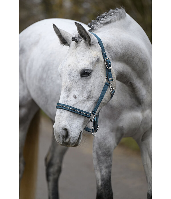 Capezza Twinkle
