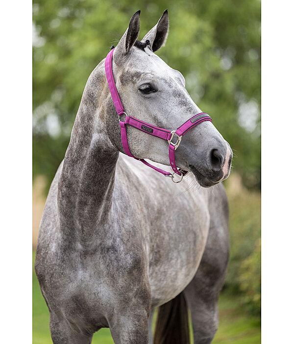 Capezza Mesh-Technology