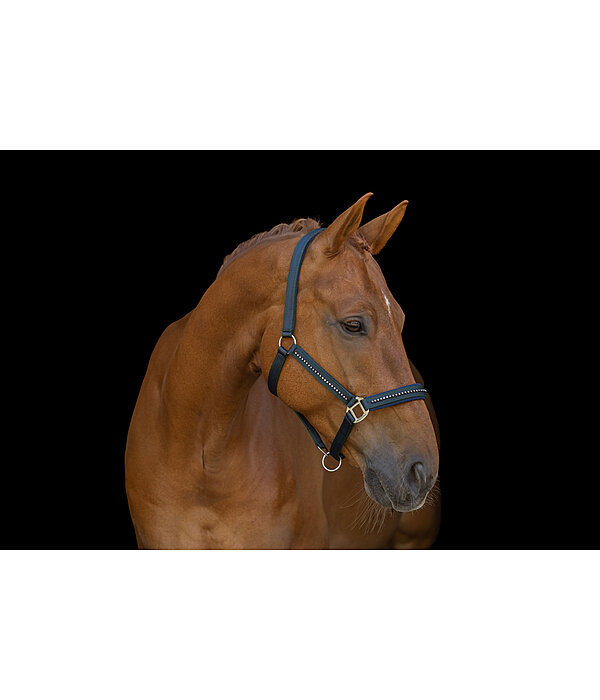 Capezza Twotone & Crystal