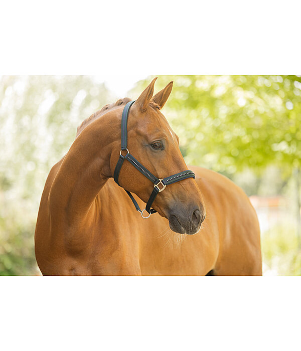 Capezza Twotone & Crystal