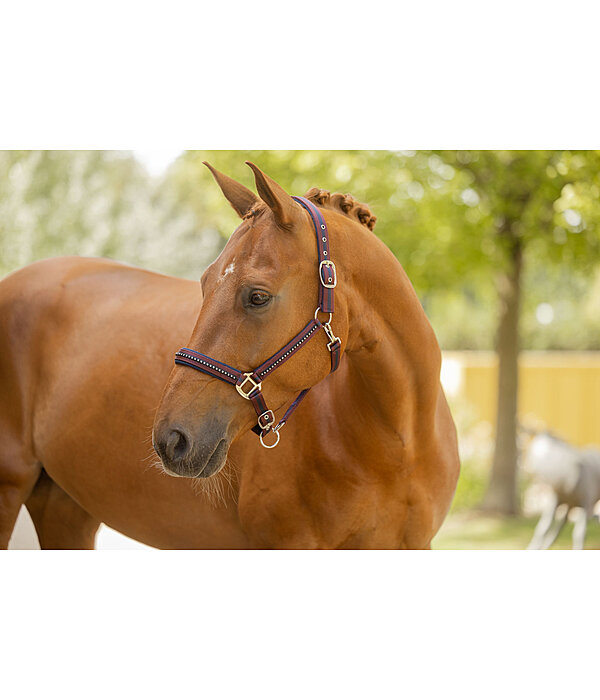 Capezza Twotone & Crystal