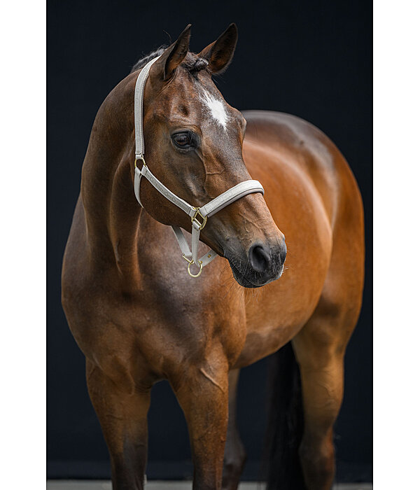 Capezza Signature III