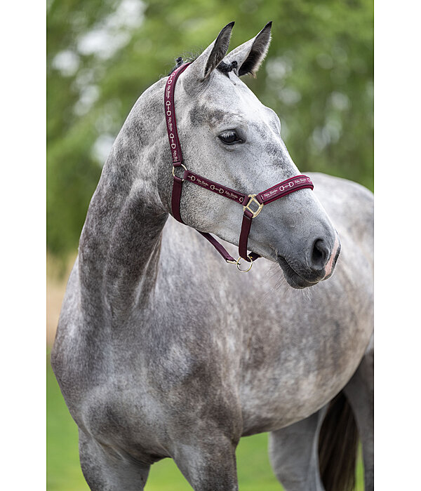 Capezza Signature III