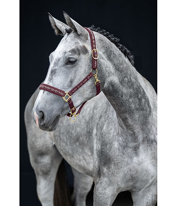 Capezza Signature III