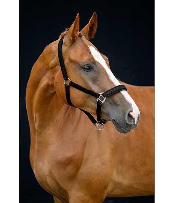 Capezza Signature III