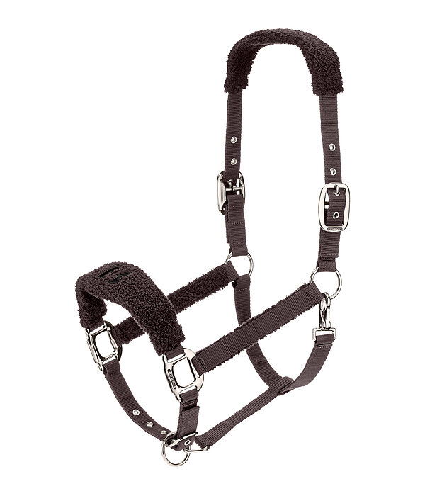Capezza Teddy