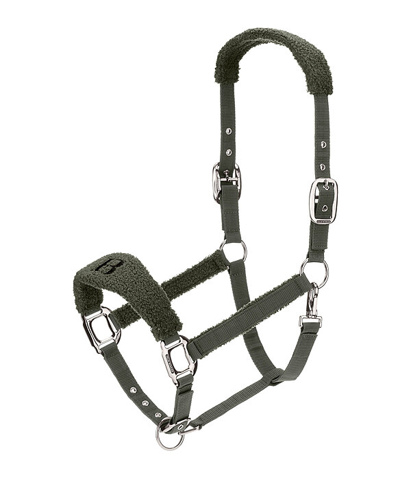 Capezza Teddy