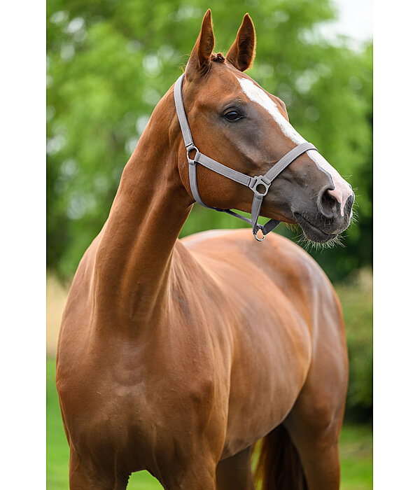 Capezza Super-Conveniente