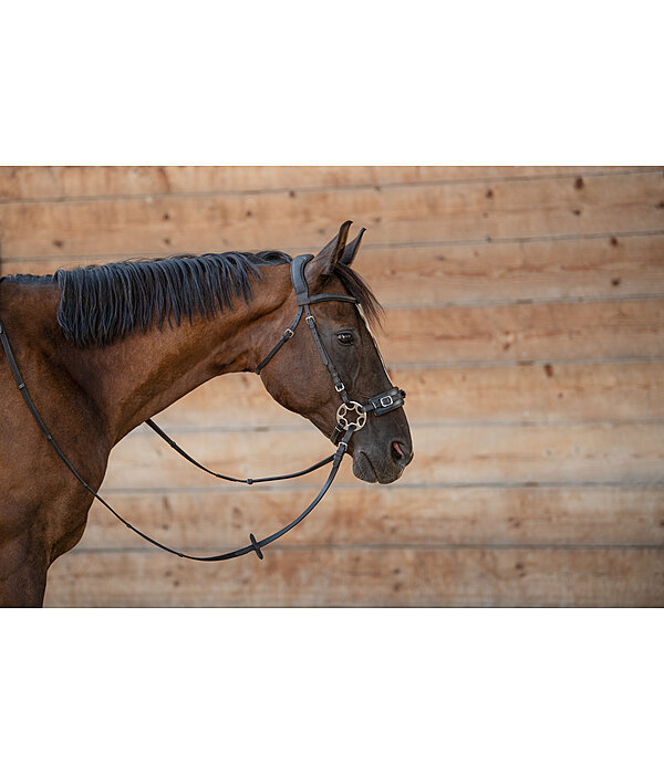 Mix & Match Sopracapo in cuoio oliato bitless