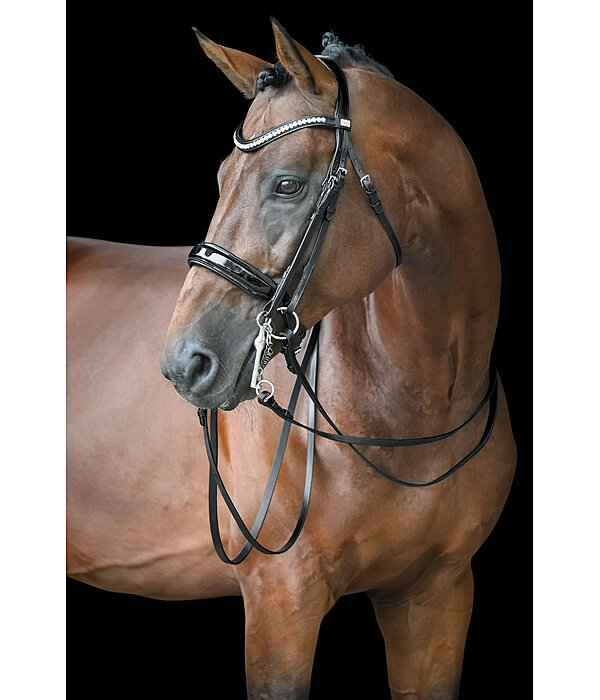 Testiera doppia Dressage II