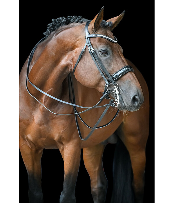 Testiera doppia Dressage II