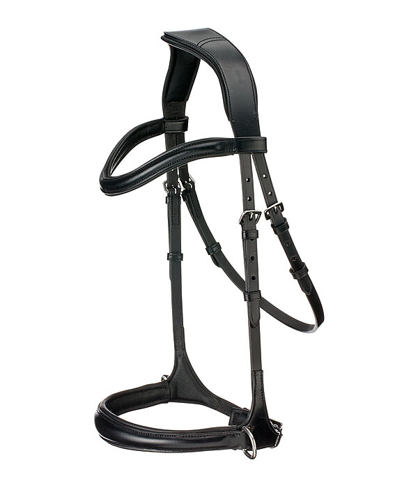 CLARIDGE HOUSE Testiera bitless 5 in 1