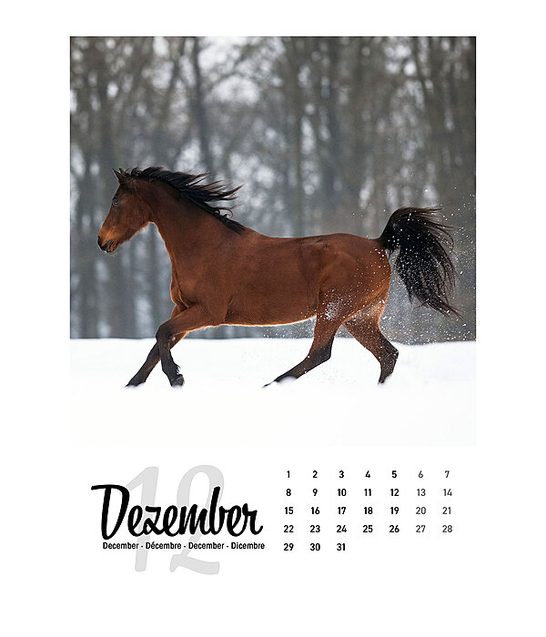 Calendario 2026