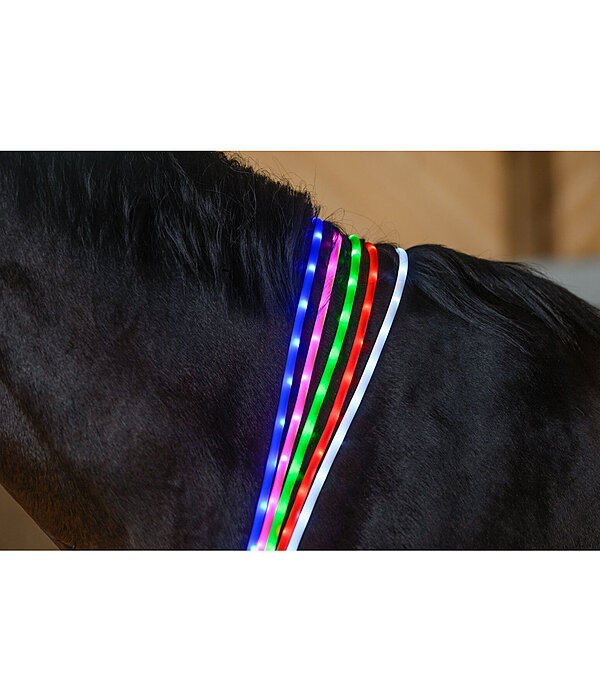 Collare per cavalli con LED