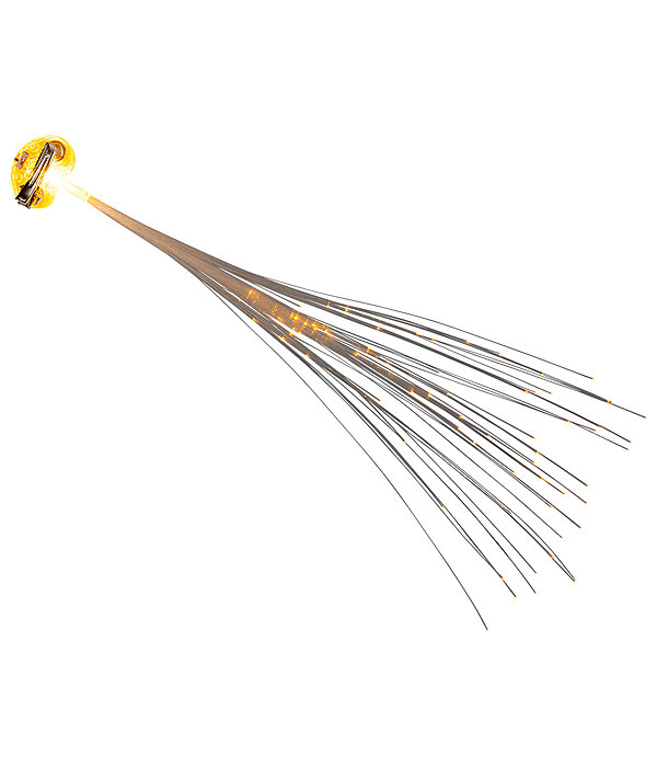 Clip LED per coda e criniera