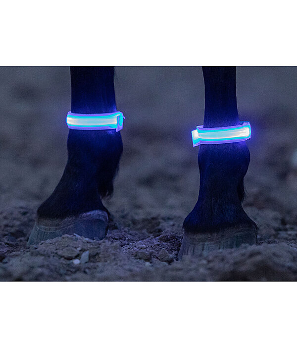 Stinchiere LED Loom