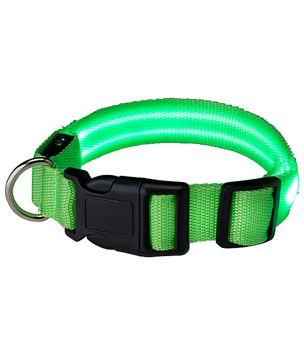 Collare per cani LED Loom