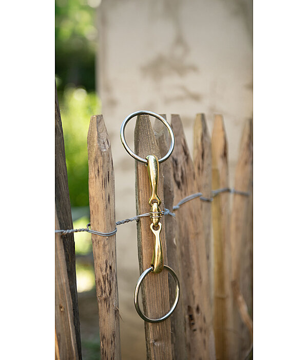 Filetto Anatomical Roll, snodato in tre parti, spessore 16 mm