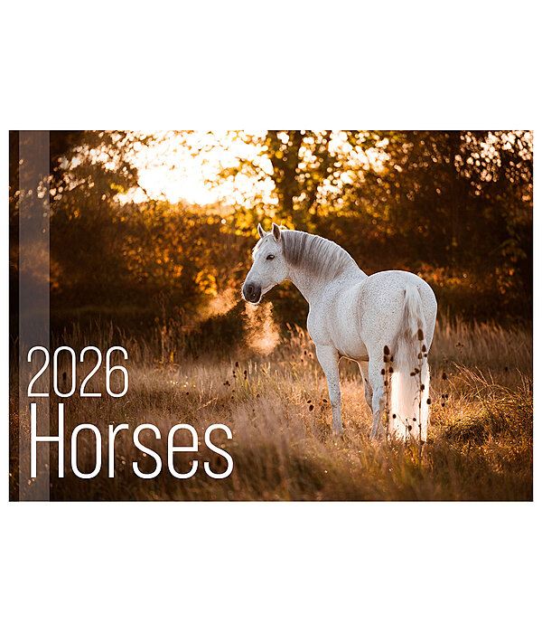 Calendario 2026 Horses