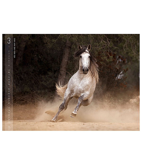Calendario 2026 Horses