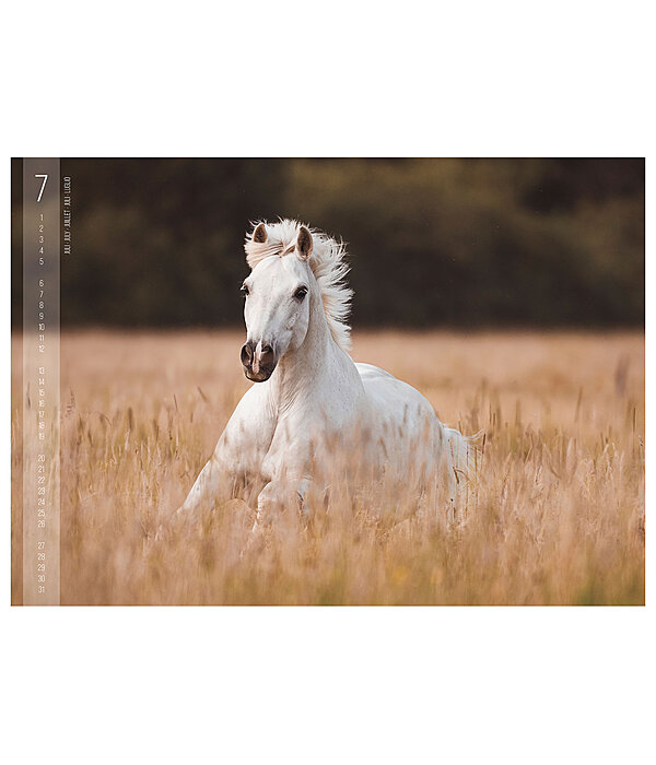 Calendario 2026 Horses