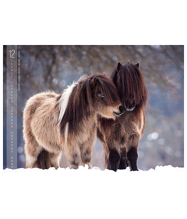 Calendario 2026 Horses