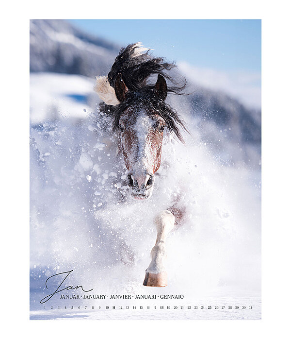 Calendario 2024 passione cavalli