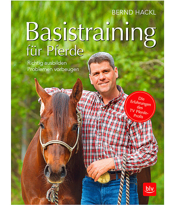 Basistraining für Pferde