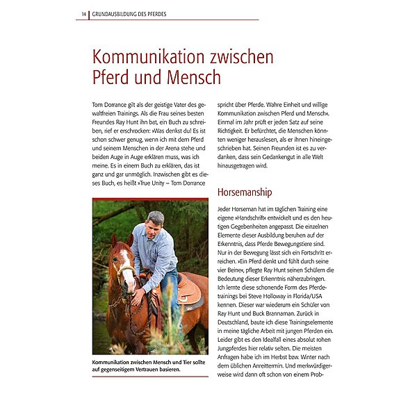 Basistraining für Pferde