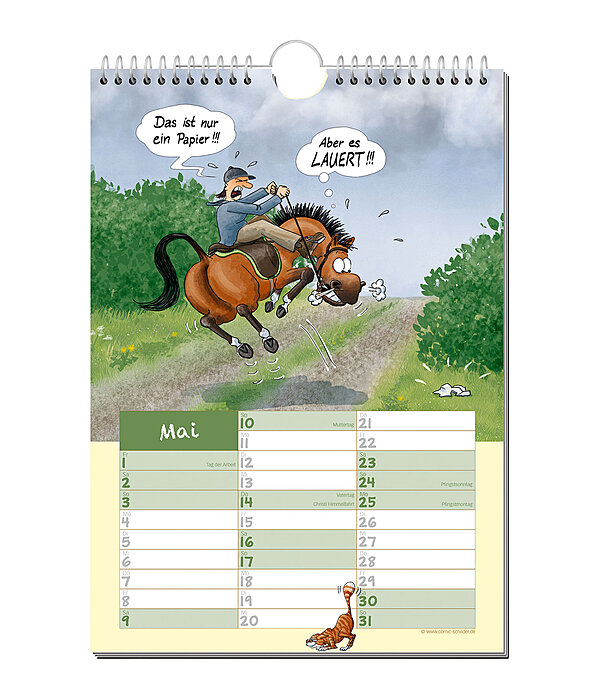 Storie di cavalli - Calendario a fumetti 2026