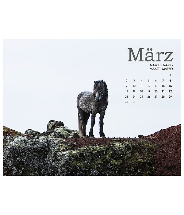 Calendario 2026 cavalli islandesi