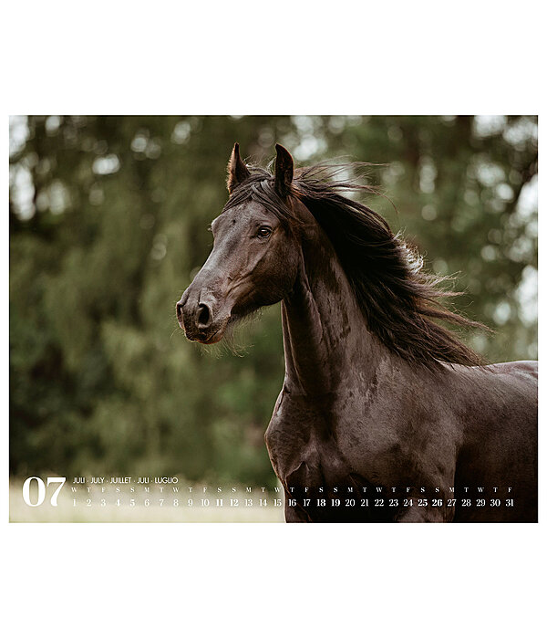 Calendario 2026 cavalli frisoni