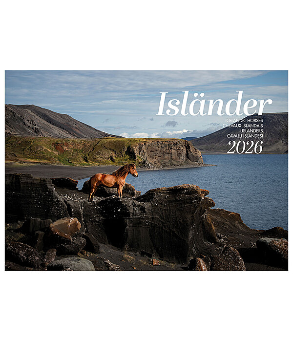 Calendario 2026 cavalli islandesi