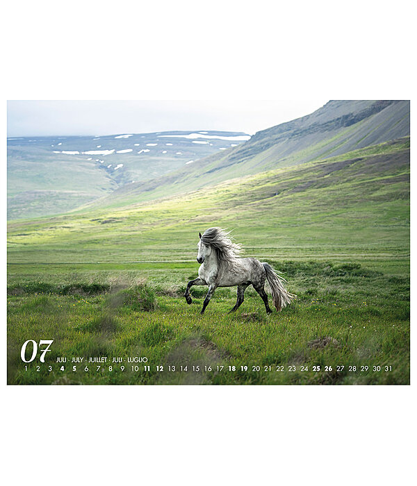 Calendario 2026 cavalli islandesi