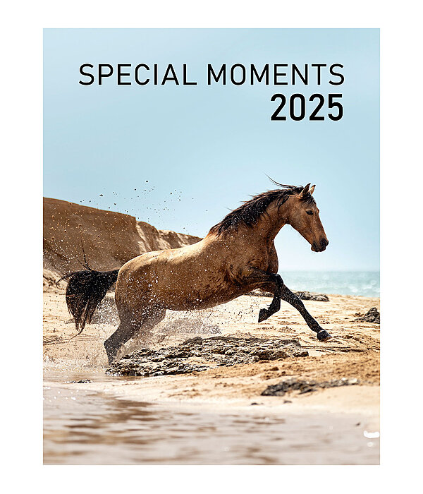 Calendario 2026 Special Moments