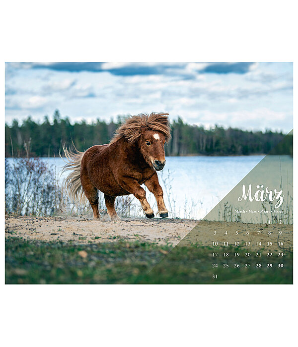 Calendario 2026  Pony
