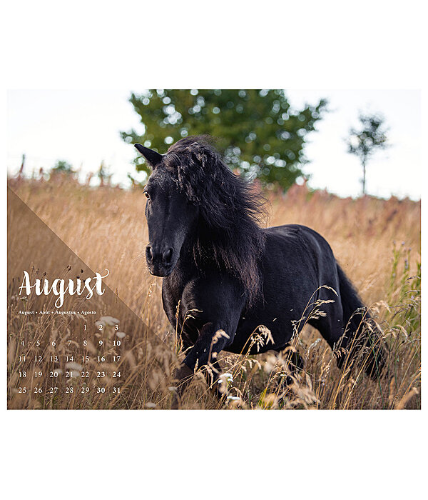 Calendario 2026  Pony