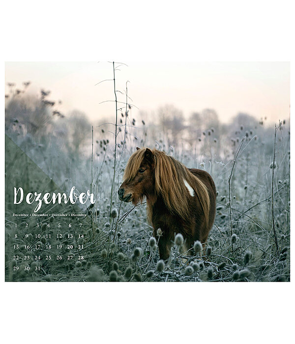 Calendario 2026  Pony
