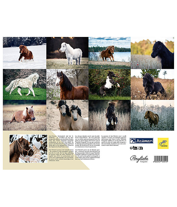 Calendario 2026  Pony