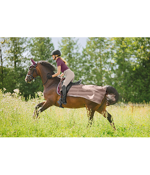 Coprireni antimosche Economy Light