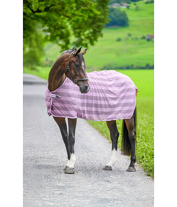 Coperta antimosche Economy Light