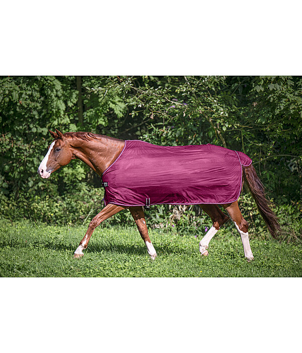 Coperta antimosche Economy Light