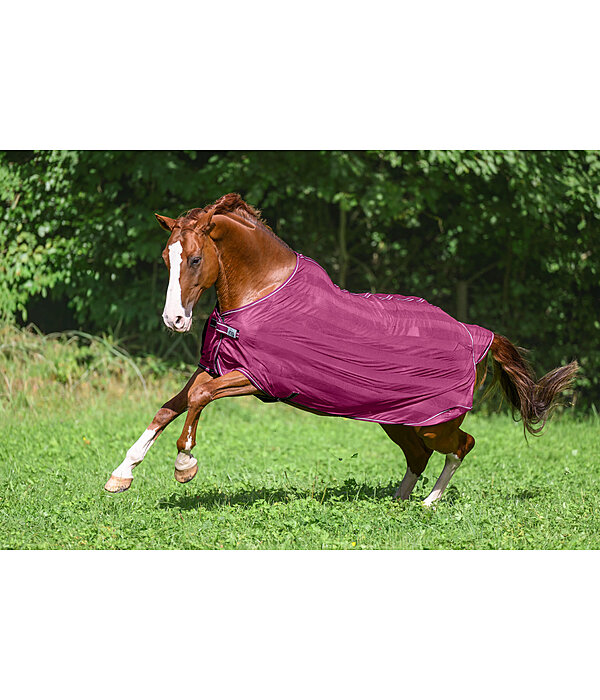 Coperta antimosche Economy Light