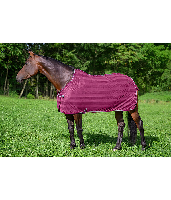 Coperta antimosche Economy Light