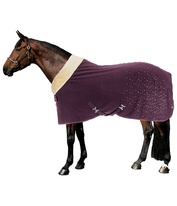 Coperta tecnica dopolavoro Sparkling II