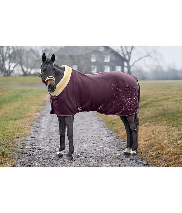 Coperta tecnica dopolavoro Sparkling II